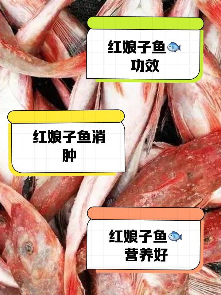 紅娘魚干的功效與作用，紅娘魚干有哪些傳統做法