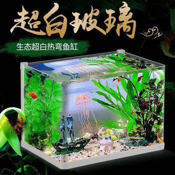 德陽水族批發(fā)市場，德陽市水族批發(fā)市場