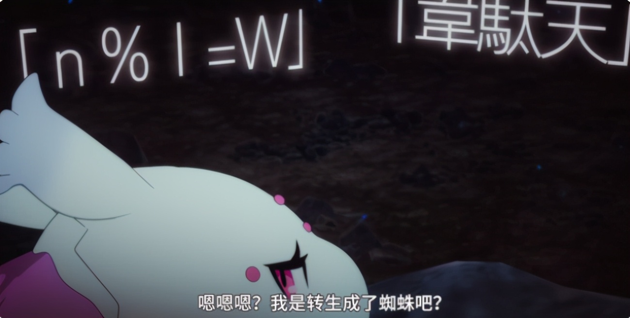 豬鼻龜可以多久不進食(豬鼻龜多久不喂會死)