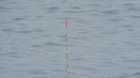 大魚缸安裝過(guò)濾器一套多少錢啊視頻：大魚缸安裝過(guò)濾器的價(jià)格是多少？