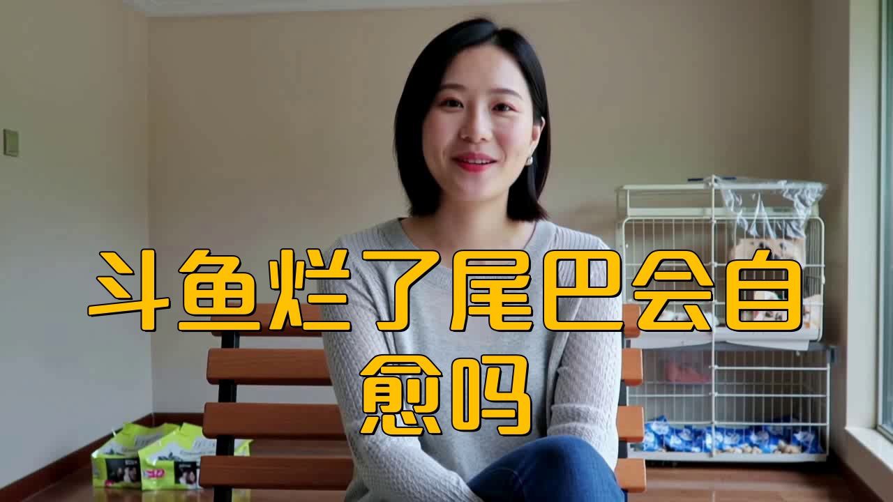 魚爛鰭爛尾會自愈嗎？，魚爛鰭爛尾會自愈嗎