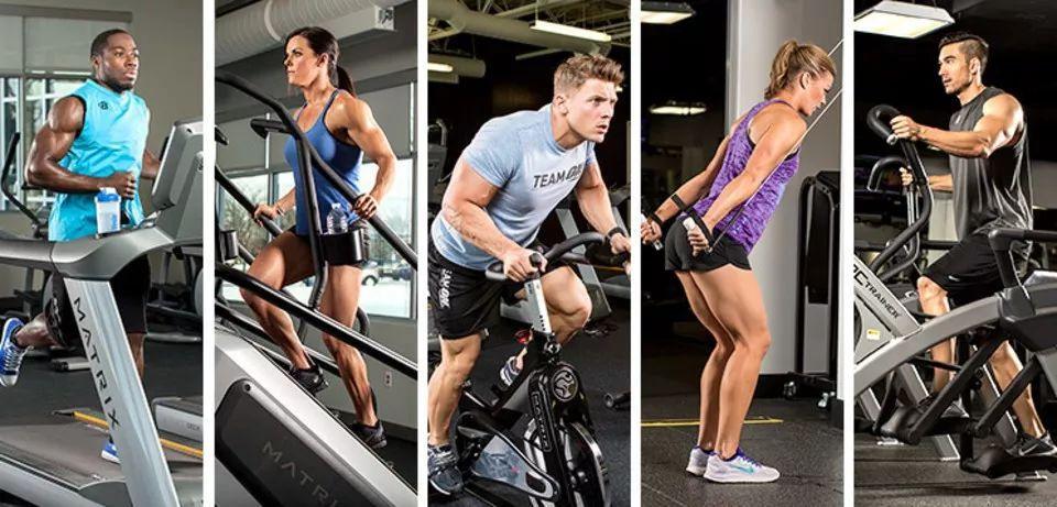 豬鼻龜為什么瀕危(豬鼻龜為什么瀕危呢)