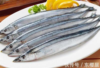 銀龍魚的最佳溫度(銀龍魚的最佳溫度是多少)