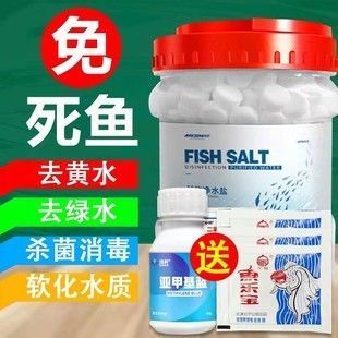 虎魚可以和金龍魚一起混養嗎圖片視頻(虎魚可以和金龍魚一起混養嗎圖片視頻大全)