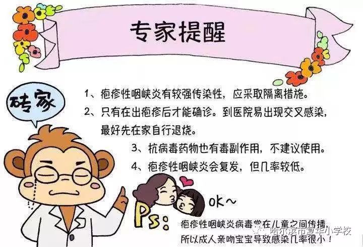 豬鼻龜出水多長時間喂食好(豬鼻子龜多久喂一次)