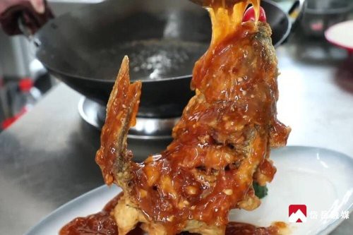 岱岳龍魚店，岱岳龍魚店哪家口碑最好