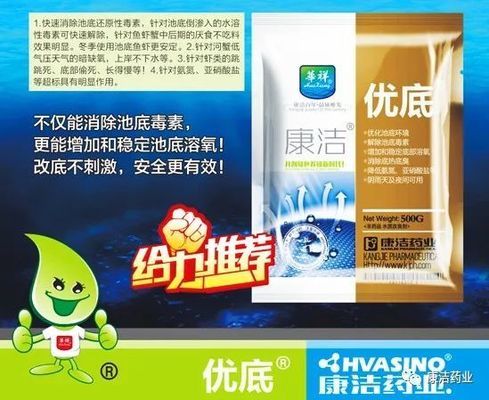 豬鼻龜的水溫多少合適養(豬鼻龜水溫度多少最佳)