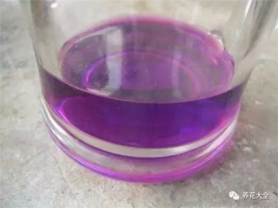 養銀龍魚水質怎么處理的干凈(養銀龍魚要注意什么事項)