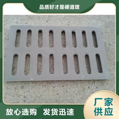 豬鼻龜好養嗎?(豬鼻龜能養嗎)