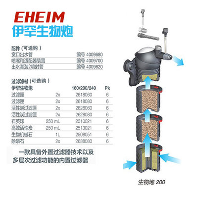 最便宜的銀龍魚多少錢一只啊(銀龍魚多少錢一條大概)