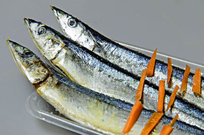 玻璃魚缸過濾器哪種好一點：哪種魚缸過濾器最好