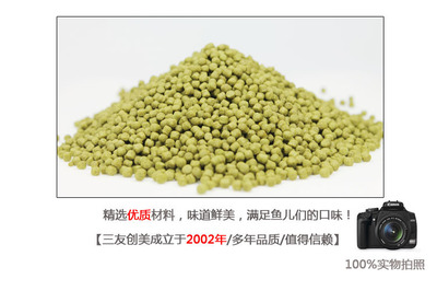 常用魚缸尺寸：魚缸尺寸怎么選擇