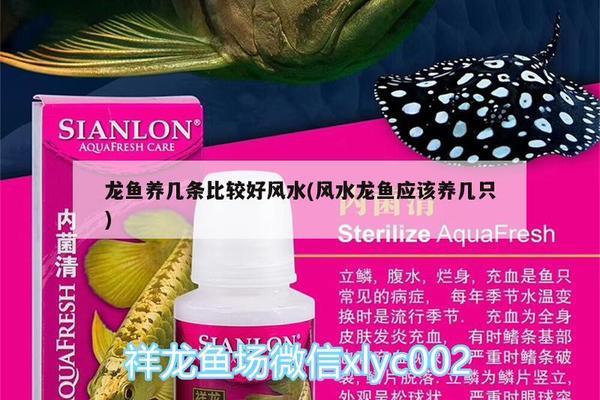 紅龍魚魚鱗有點松是什么原因：導致紅龍魚魚鱗松動的主要原因