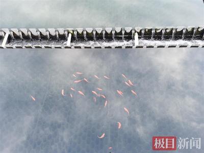 boyu博宇魚缸55_55_60（博宇魚缸電話）