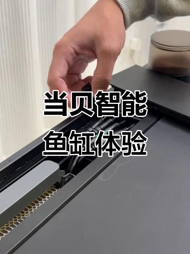 目前最好的魚缸，《目前最好的魚缸》小米智能魚缸深度體驗(yàn)評(píng)測(cè)到底值不值得買