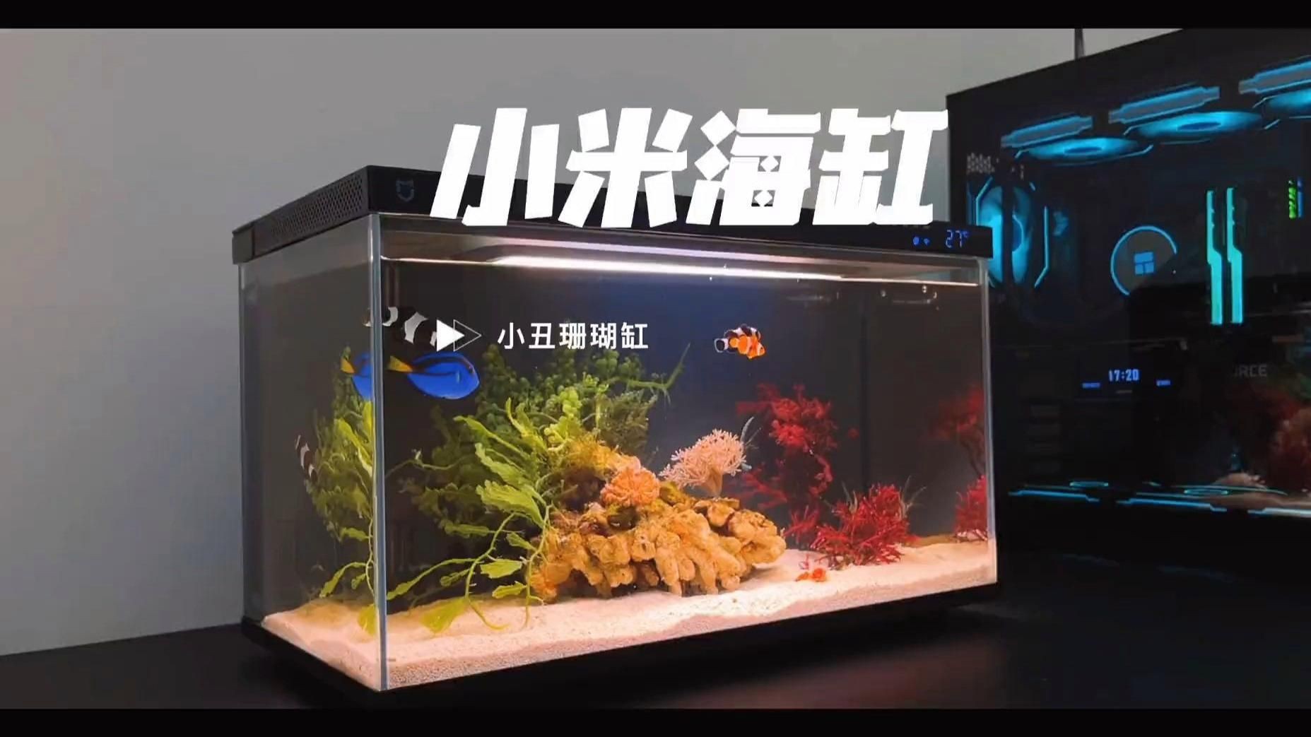 目前最好的魚缸，《目前最好的魚缸》小米智能魚缸深度體驗(yàn)評(píng)測(cè)到底值不值得買