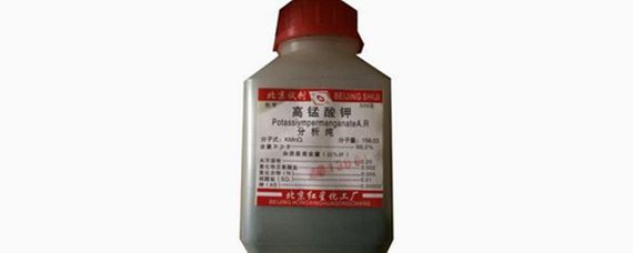 銀龍魚小時候是青色的嗎還是白色(銀龍魚發青綠色怎么回事)