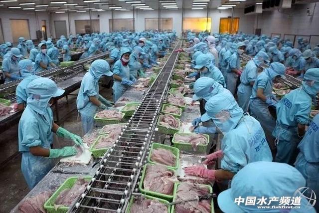 博特水泵有翻新的嗎（博特水泵安裝示意圖）
