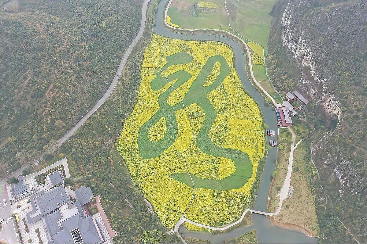 玄學中的龍文化起源，玄學中的“龍”文化起源