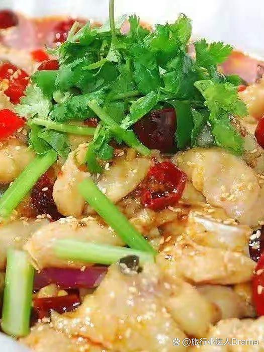 太康龍魚店，太康地區的龍魚店推薦