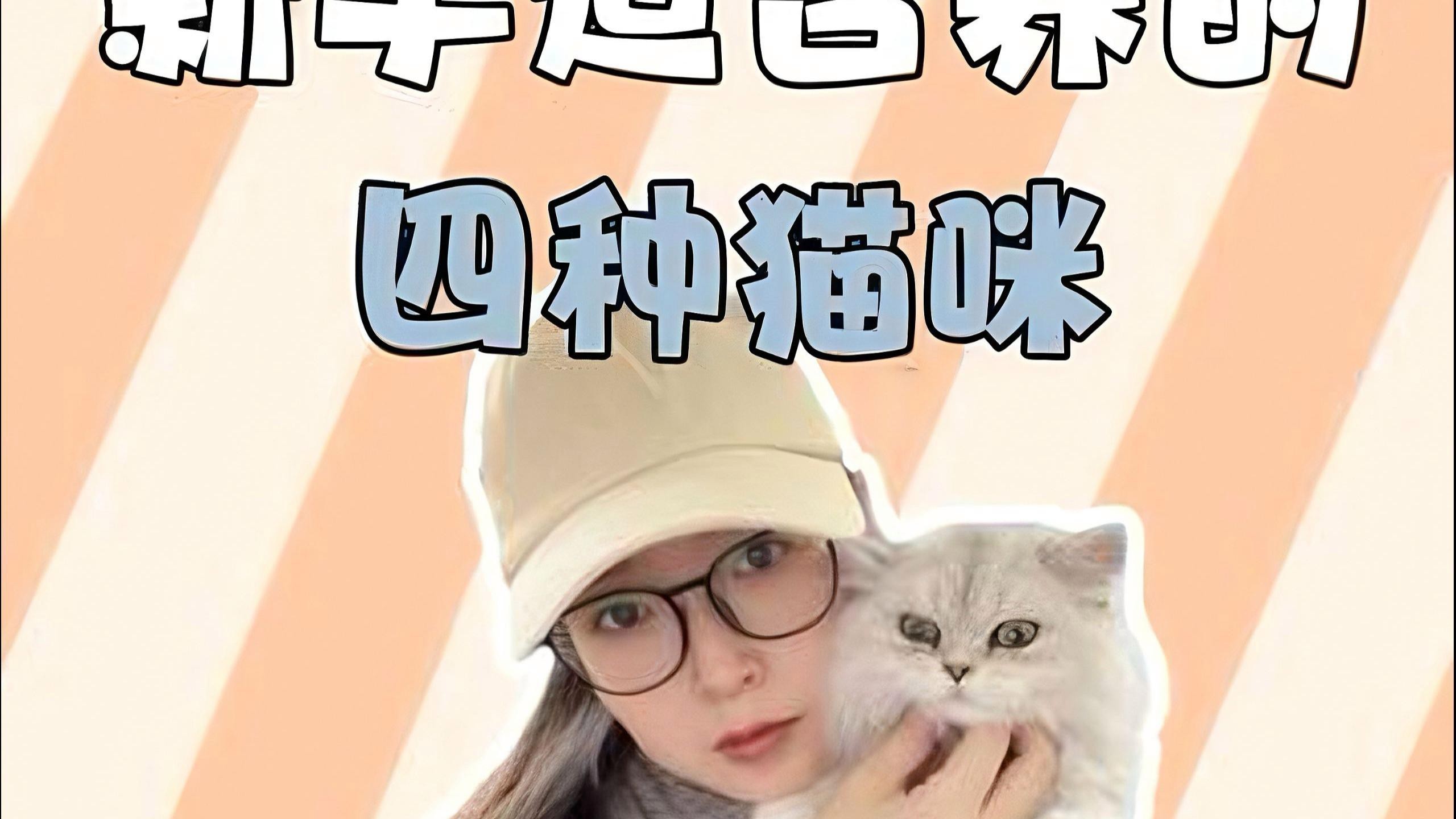 什么貓最便宜又好養還可愛，便宜又好養的幾種貓，你喜歡哪只王小怪寵物