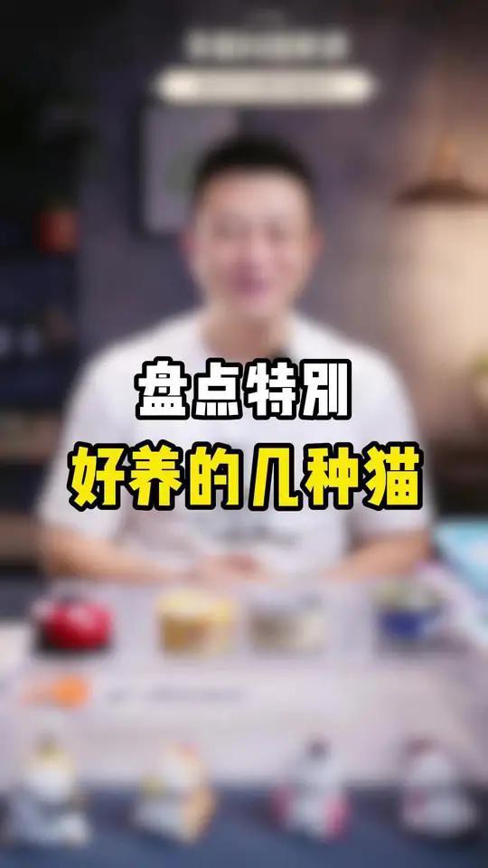 什么貓最便宜又好養還可愛，便宜又好養的幾種貓，你喜歡哪只王小怪寵物