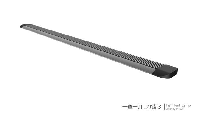 龍魚虎魚元寶鳳混養(yǎng)可以嗎(金龍魚可以和元寶魚混養(yǎng)嗎)