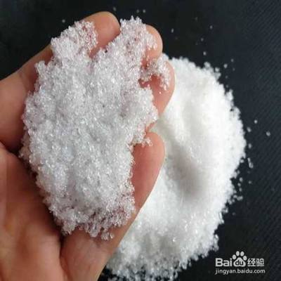 豬鼻龜能活幾年壽命最長(豬鼻龜能養多少年)