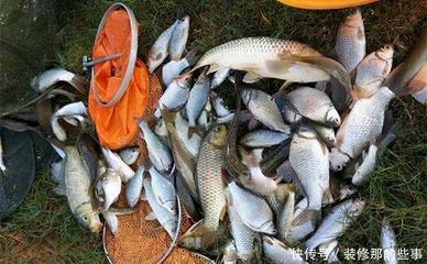 比較好的魚缸過濾器有哪些型號：2024年魚缸過濾器十大品牌排行榜魚缸過濾器十大品牌排行榜