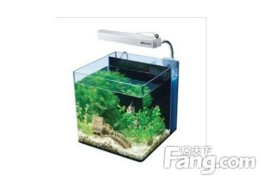 比較好的魚缸過濾器有哪些型號：2024年魚缸過濾器十大品牌排行榜魚缸過濾器十大品牌排行榜