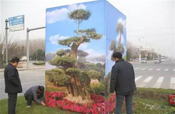 龍魚(yú)虎魚(yú)打架怎么辦啊視頻(龍魚(yú)和虎魚(yú)打架視頻)