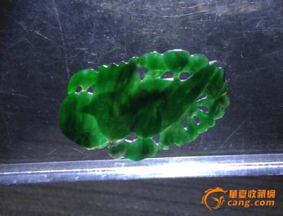 5厘米的小虎魚怎么養活：5厘米的小虎魚怎么養活，5厘米的小虎魚需要注意什么