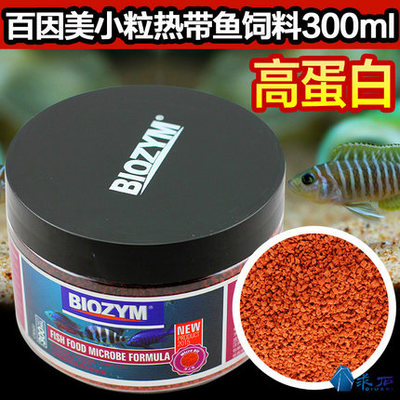 虎魚被龍魚壓制的不愛游動(虎魚欺負龍魚)