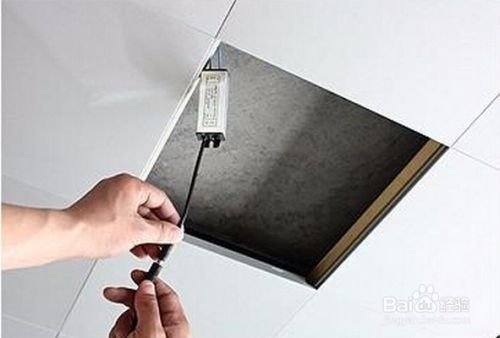 虎魚和龍魚混養溫度多少合適啊圖片(金龍魚和虎魚混養要注意些什么)