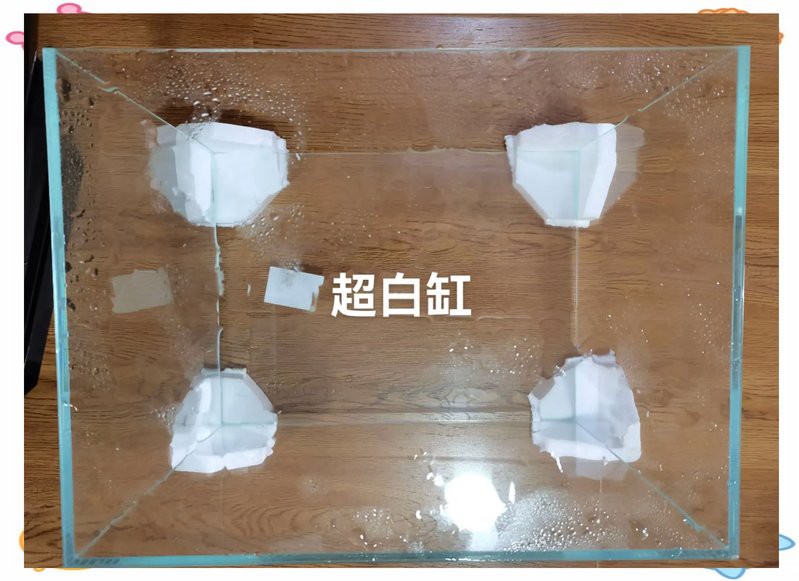 40魚缸標準尺寸，40魚缸尺寸全攻略|新手必看容量對照表花影茶蘼