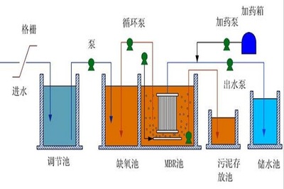 沉木魚缸養什么魚好看：如何選擇適合的沉木魚缸