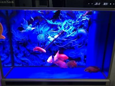 魚缸質(zhì)量怎么樣