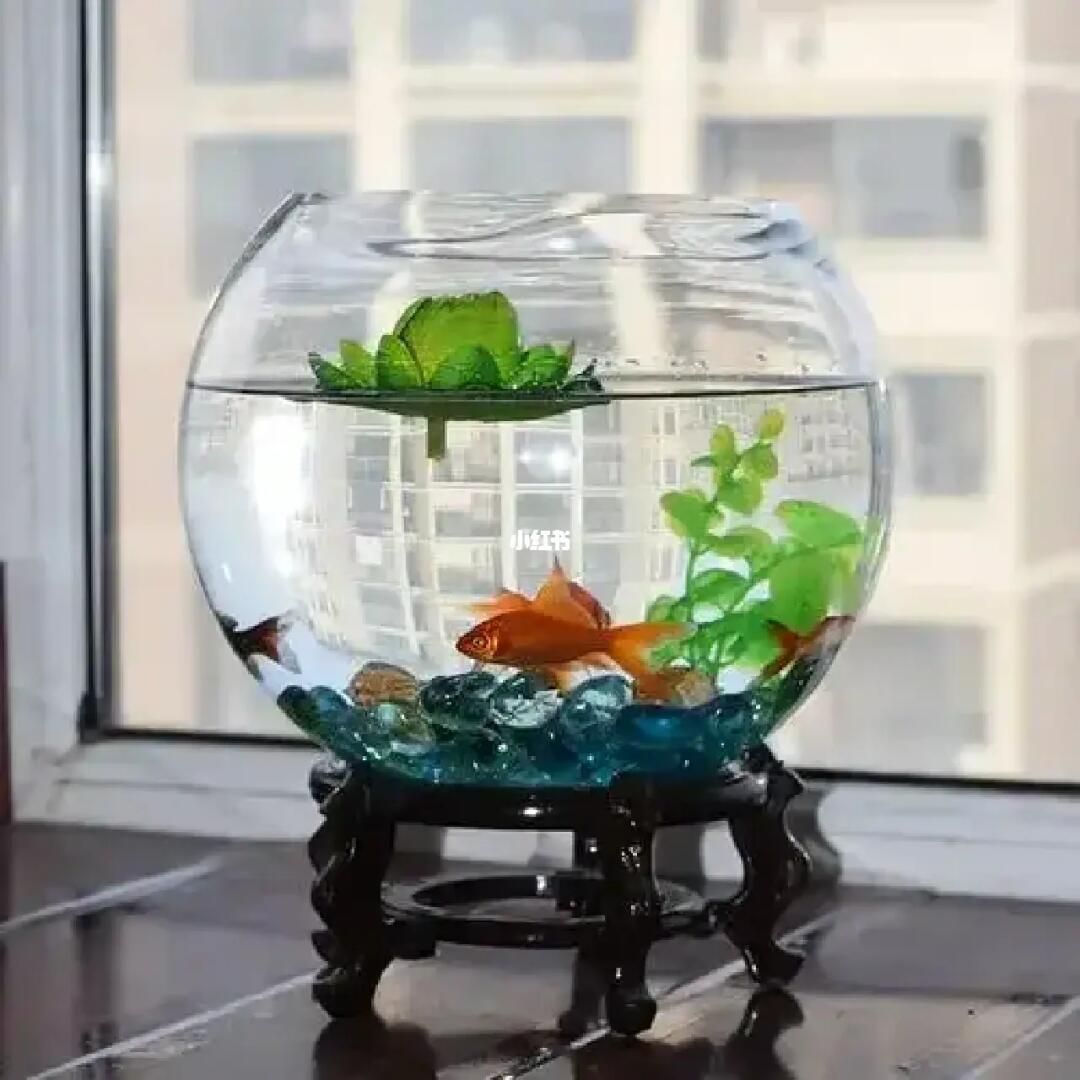 魚缸質(zhì)量怎么樣