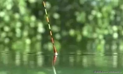 大型魚缸潛水泵安裝：安裝大型魚缸潛水泵的一般步驟和注意事項