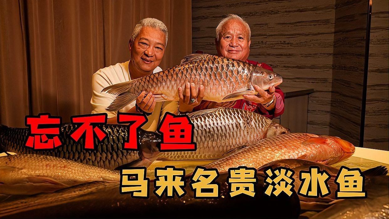 馬來忘不了魚是什么魚，一斤的忘不了魚，連魚鱗都能吃，憑什么賣這么貴