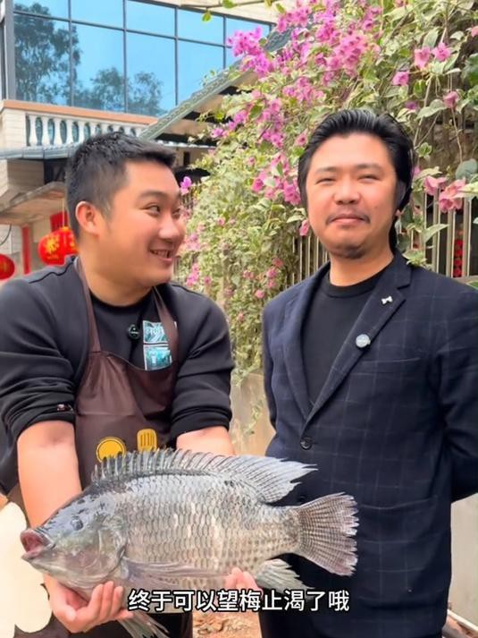 王老板養魚視頻全集，王師虎《魚塘老板的故事》視頻全集