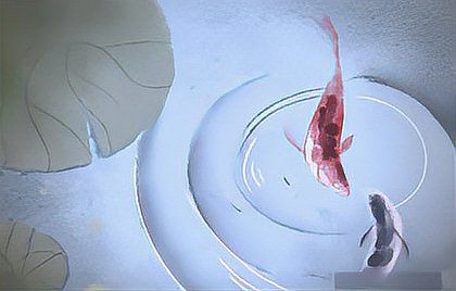 風(fēng)水魚怎么擺，家居風(fēng)水魚的擺放方式 風(fēng)水魚怎么擺，家居風(fēng)水魚的擺放方式 龍魚百科 第2張