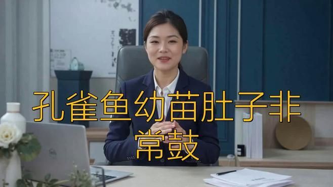 孔雀魚肚子很大,要警惕，《孔雀魚肚子很大，要警惕》