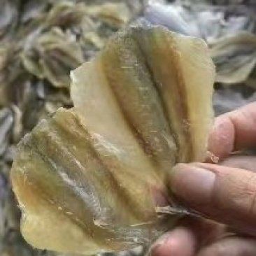 玫瑰魚一斤價格表，2018年8月湖南長沙玫瑰魚市場行情