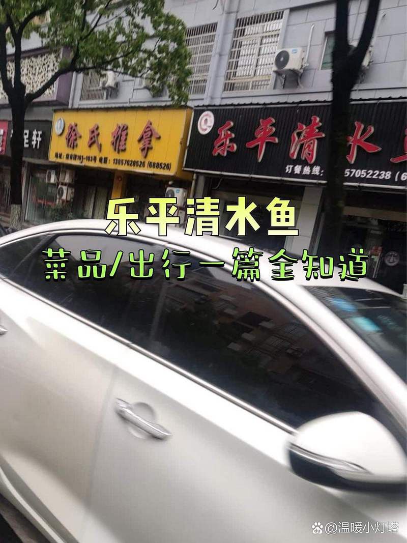 樂平龍魚店，樂平清水魚(南市街店)美食種草出行攻略 樂平龍魚店，樂平清水魚(南市街店)美食種草出行攻略 全國水族館企業(yè)名錄 第1張
