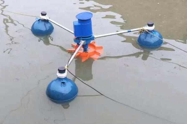 養殖豬鼻龜屬于保護動物嗎視頻講解(豬鼻子龜保護動物) 養殖豬鼻龜屬于保護動物嗎視頻講解(豬鼻子龜保護動物) 豬鼻龜百科 第2張