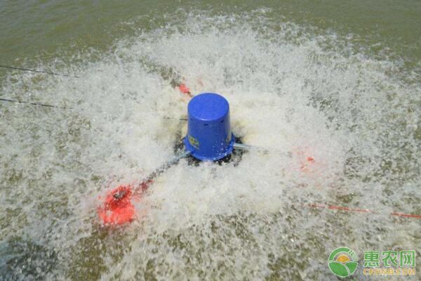 博特加熱棒加熱過程滴滴滴發(fā)出聲音(博特加熱棒一直響)