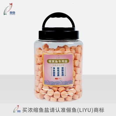 通州賣魚缸的地方有哪些 （通州賣魚缸的地方有哪些店）