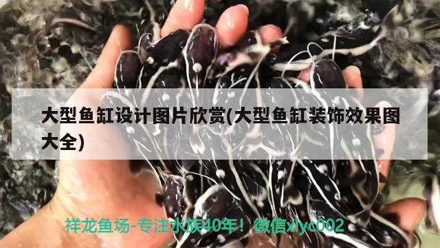 大型魚缸設(shè)計圖片欣賞(大型魚缸裝飾效果圖大全)