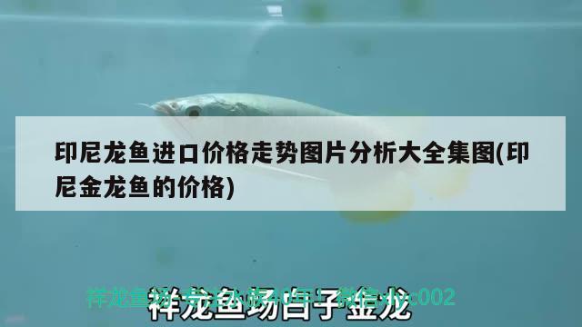 森森魚缸燈led燈（森森魚缸燈光設置）